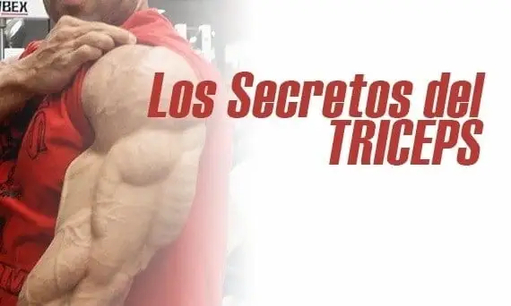 Consejos para tener un tríceps grande y formado